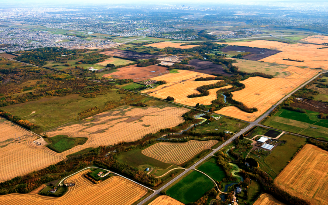 Walton Global Completes Sale of Canadian Land Totaling Nearly 550 Acres